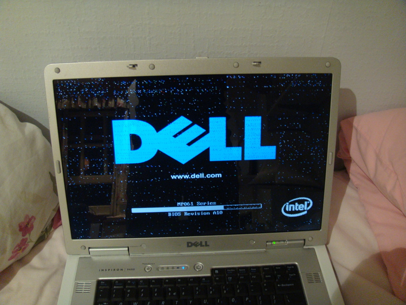 Hier zie je het probleem met de oude videokaart. Overal stippels. Dit gebeurt al extreem vroeg tijdens het opstarten, als het BIOS de controle nog heeft. Dit suggereert dat het een probleem met de hardware is.